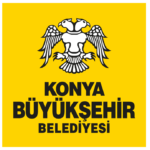 büyükşehir